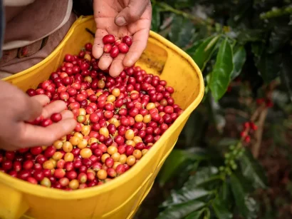 Colombia Huila